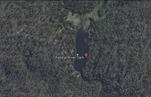 Paddy's_River_Dam Bago State Forest
