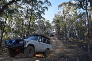 Abercrombie River NP Tracks