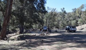 Abercrombie River NP Camp